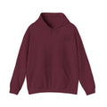 Unisex Hoodie--Precision. Power. Elevation.