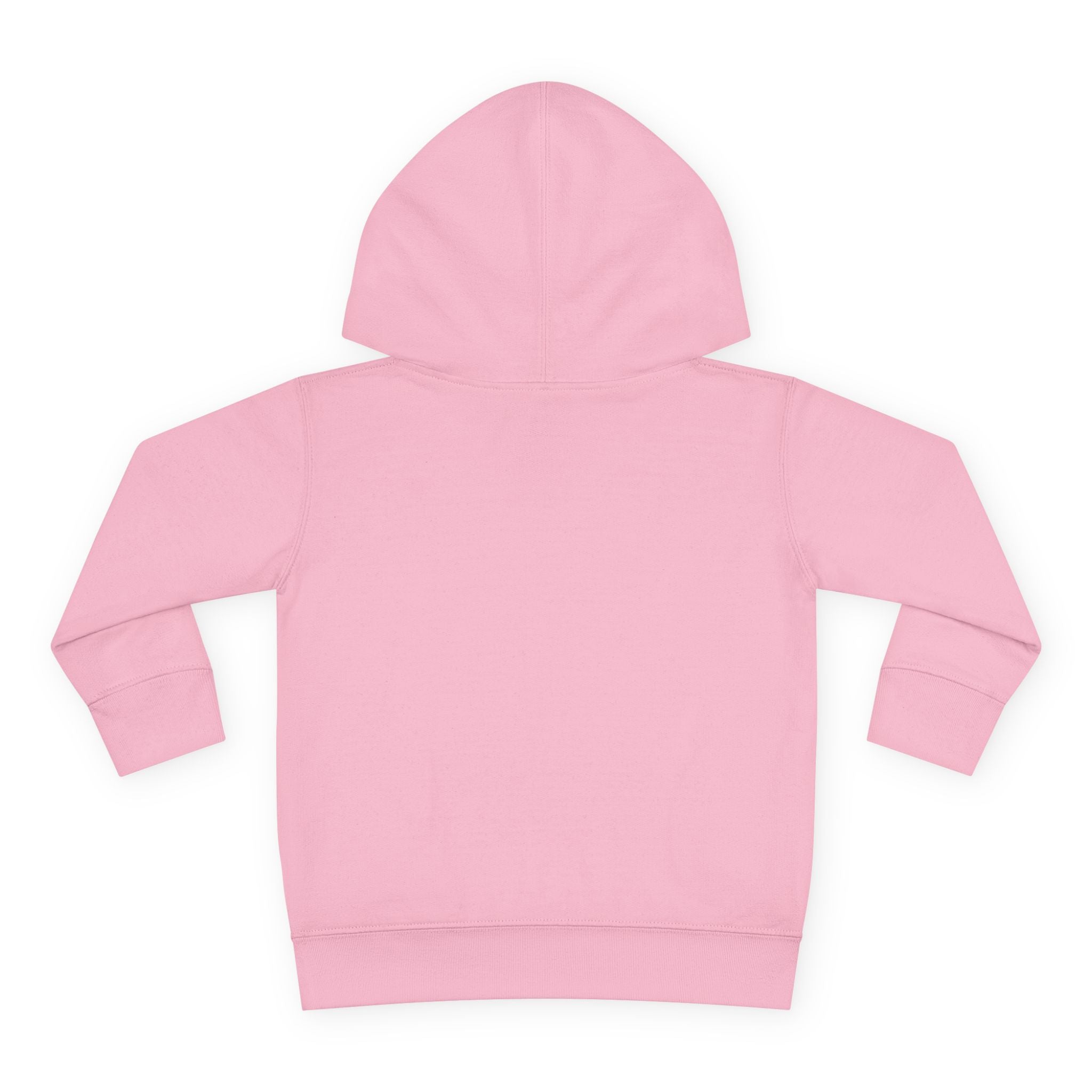 Toddler Hoodie — mountain adventure