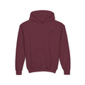 Youth Hoodie — labeled sled